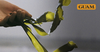 GUAM merevetikad GUAM merevetikad